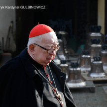 _MG_5738 BISs _MG_5738 BISs